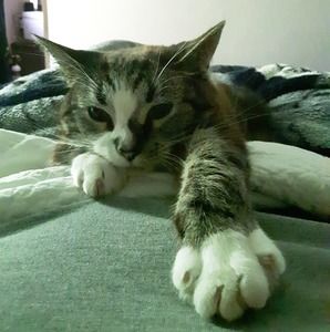 Meet your Posher, Sydne